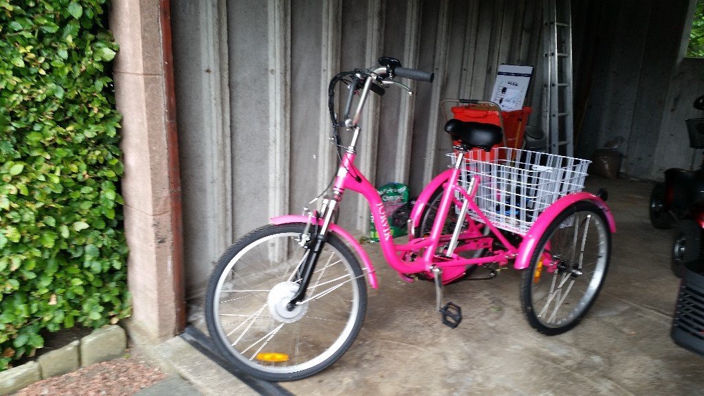 gumtree tricycle